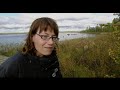 Unberührtes Lappland (Muddus Nationalpark) | Europas Urwälder, Folge 5