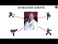 Every Martial Art Type Explained in 12 Minutes