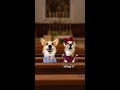Time to repent #dog #funny #church