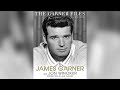 James Garner Confessed His True Feelings About Steve McQueen