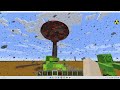Minecraft nuclear strike on a village