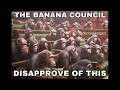 The Monkey Council