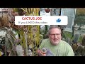 My CACTUS GREENHOUSE COLLECTION Spring '24 update #cacti #cactus #succulents #greenhouse #collection