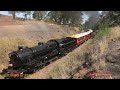 Australian steam locomotives 3001, 3526, 3801 & R766 - Thirlmere Festival of Steam - March 2023