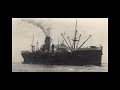 Brief History of SS Bardic (1918)