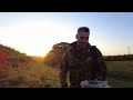 Kestrel Dad Learns to Care for Chicks After Mum Disappears | Mr & Mrs Kes | Robert E Fuller