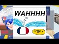 VTuber reviews: r/polandball