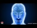 Alpha Waves In 20 Minutes, Music Heals Brain Damage, Relieves Stress, Restores Memory