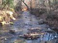 Babbling Brook: The Well of Mercy