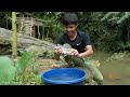 2 Year living in forest, Harvesting wild papaya go to market sell. Fishing and cooking