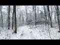 ASMR soft crunchy snowfall hike. #snow #hiking #nature #asmr #crunchy #winter #original #snowfall #💙