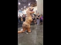 Dino Dance- Phoenix Comicon 2016