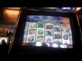 Dolphin treasure free spins. 5 cents denomination.