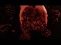 ASMR 1 Hour of Pine Cone Sounds (No Talking)