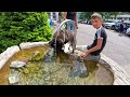 İsviçre'nin Alp Köyü Grindelwald. Bu Huzurlu Köyde Yaşamak İstermiydiniz?