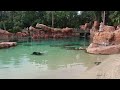 Private Cabana Tour -Discovery Cove, September 2023