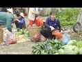 Harvesting Taro & Cook taro sweet soup Goes to the market sell | Lý Tiểu Luyến