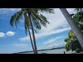 Windy!! Palawan Sound of Nature