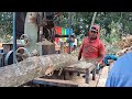 MAKES YOUR STOMACH HURT‼️Cutting Trees Directly on a Hand-Assembled Bandsaw Saw