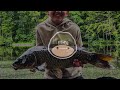 Carp Fishing the Local Park Lake with My Son