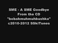 SME - A SME Goodbye