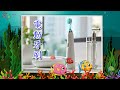 Learning Chinese | Flash card cognitive training ~ 33 common household appliances