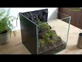 How to make a moss terrarium with a small waterfall #75