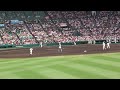 2011甲子園決勝　光星学院対日大三　初回野手の動き