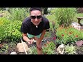 BIG CHANGES in the garden | Plant haul with flowers I've never had!!