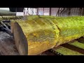 Sawmilling a Red Oak 22 Foot Long 14x14 #34