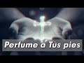 Todo Lo Puedo Contigo Dios- Poderosas Alabanzas Para Liberar Tu Mente y El Corazón- Musica Cristiana