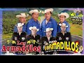 Corridos Chingones — Dueto Los Armadillos De La Sierra — 30 Exitos Inolvidables Corridos y Rancheras