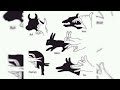 Animals from hand shadows|Hand shadow Performance| hath k shadows se animals bnaen