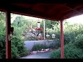 Hummingbirds Fight Over Feeder