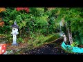 【Japan in 8K】Visit Korankei and Asuke Town, one of Aichi's best autumn foliage spots