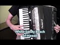 Hawaiian Vacation, 9 songs, Roland 8x accordion, Dale Mathis