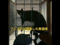 【ハロウィン】電子レンジなし🎃&猫増員？