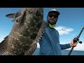 Fishing Baja, Mexico: CASTING for BIG GROUPER | EPIC Cabrilla & Yellowtail | Sea of Cortez