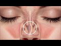 imagens Explicativas - #4 Septo Nasal - Explicação na Descrição do Vídeo