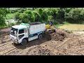 Wonderful Project Operator Skills Bulldozer Pushing Soil & 5 Ton Truck Unloading Soil,huge LandSlide