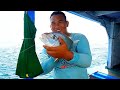 Strike Bertubi - Tubi, Panen Ikan simba !!! #fishing #viral