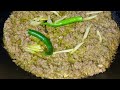 Afghani keema Recipe | how to make afghani keema | afghani mutton keema by Nayab’s kitchen