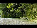 【自然の音】山奥の小さな河原 / Nature Sounds - A Small Riverbank Deep in the Mountains