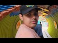 Busch Gardens Tampa, Fl. - FIRST TIME VISIT Part 2 - July 2024