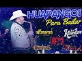 Los Elegantes,La Kumbre Con K, Legitimo, Los Avila - Huapangos Nuevas  Mix 2024