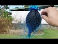 Balloon bursting in slow motion.