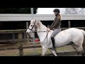 CRAZY RIDING DARES WITH LILY EQUESTRIAN