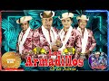 Los Armadillos de la sierra 🎶🎸 LOS MEJORES ÉXITOS MIX 2023