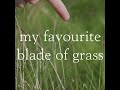 Ambient music - my favourite blade of grass week 2