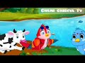 Chameli Hui Bimar |Best moral stories|Bedtime stories|Fairy tales|Birdstory